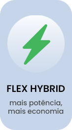 Flex Hybrid